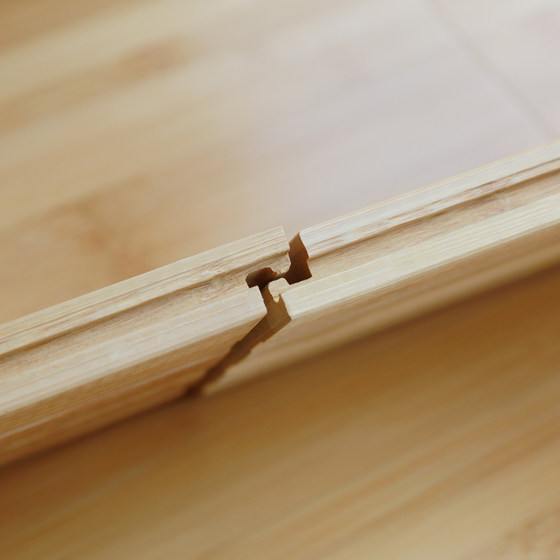 Indoor factory direct sales of top ten brands of carbonized bamboo flooring