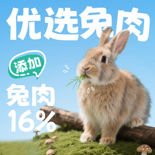 馋不腻烘焙猫粮官方旗舰店正品成年幼猫粮布偶英短通用全价猫粮 - 图1