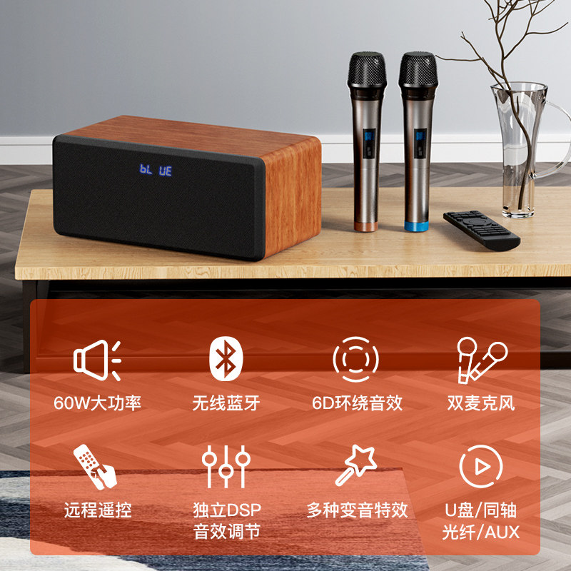 家庭ktv套装全套卡拉ok手机音响 雷登九新KTV/卡拉OK音箱