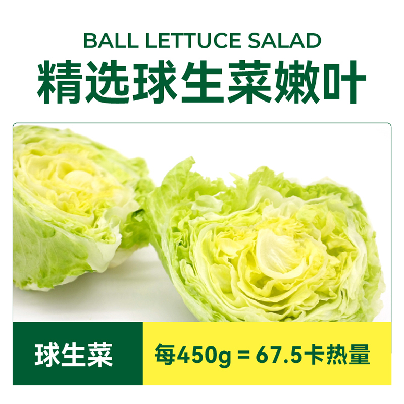 【绿行者】新鲜球生菜蔬菜沙拉材料开袋即食450g低脂轻食健身代餐