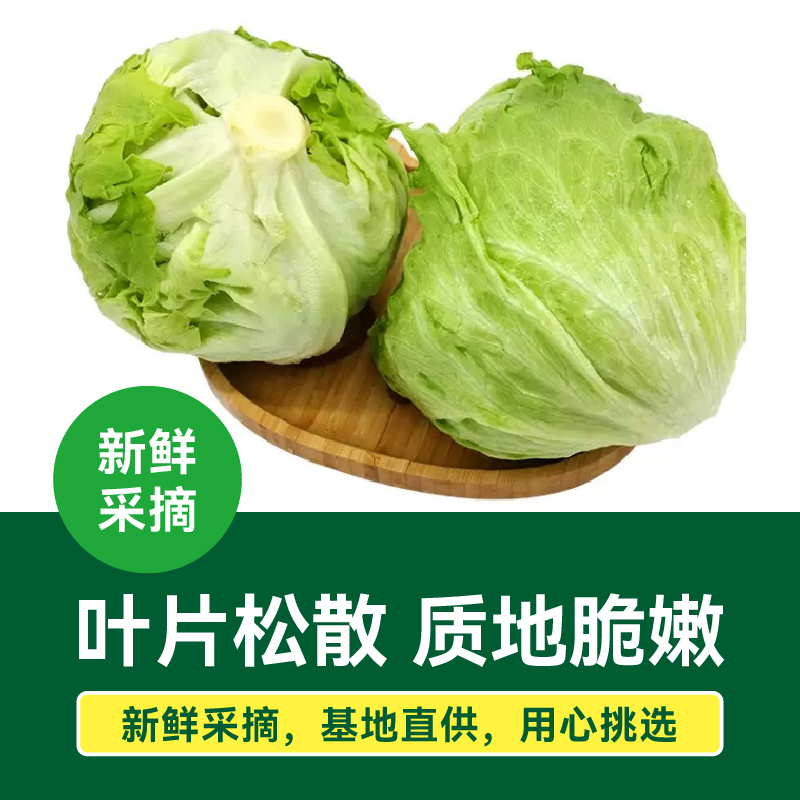 【绿行者】球生菜圆形生菜汉堡用新鲜蔬菜沙拉色拉4斤装生吃包菜 - 图2