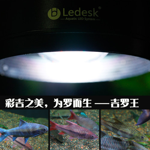 乐迪吉罗王灯100w全光谱增色显色爆藻灯 原生鱼溪流缸植物生长灯 - 图0
