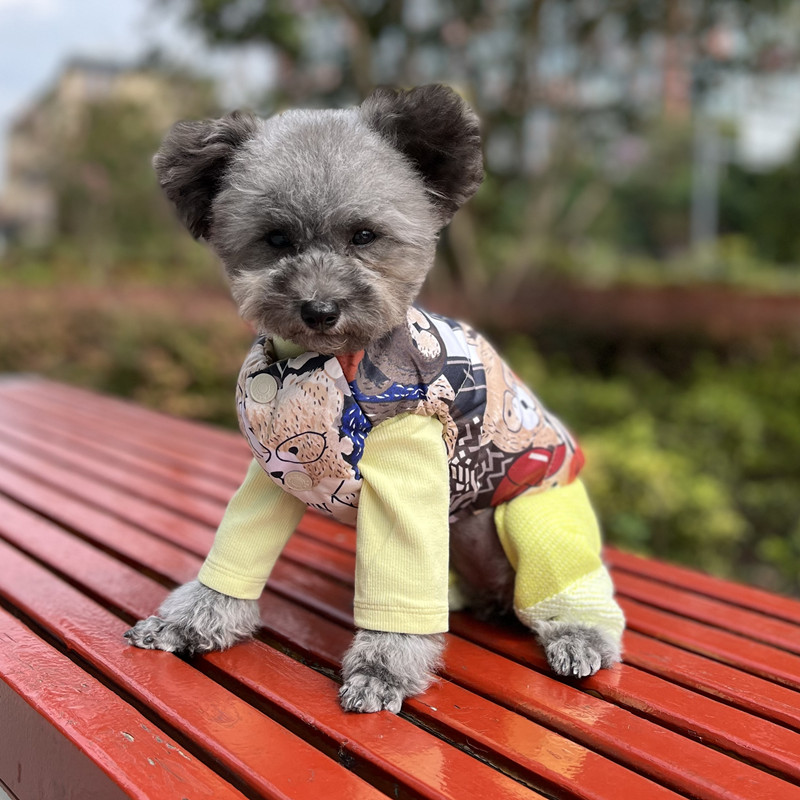 奇可家丑丑chouchou宠物双面穿羽绒马甲狗狗衣服背心泰迪猫马甲-图2