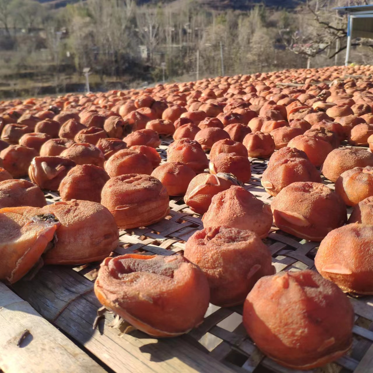 狼牙山柿饼磨盘柿饼易县柿饼非富平柿饼流心柿饼干柿饼河北柿饼-图1