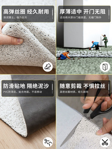 入户门丝圈pvc地垫家用玄关大门口门垫客厅进门脚垫耐脏地毯垫子 - 图3