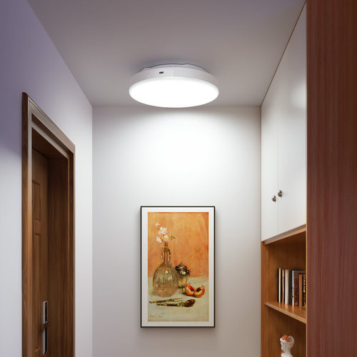 雷达感应吸顶灯入户门厨房卫生间阳台人来即亮免接线充电照明灯 - 图0