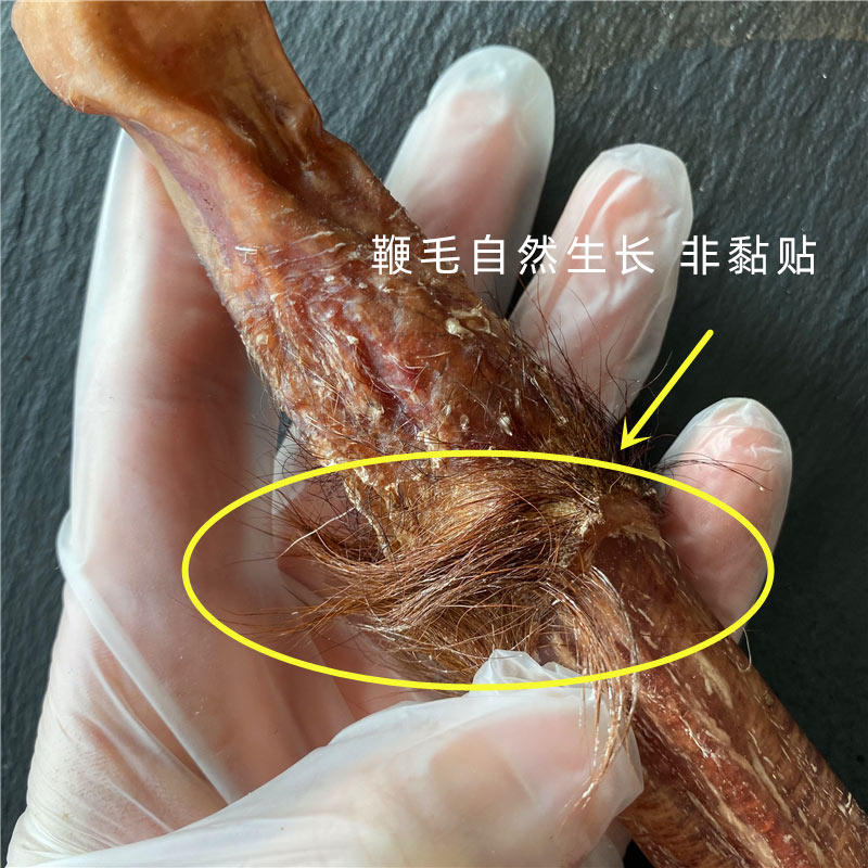 鹿灵子整支成年雄鹿优质男性大鹿鞭 禹图鹿灵子鹿茸枝
