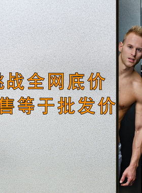 窗户磨砂玻璃贴纸透光不透明