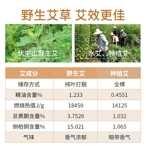 蕲郎中加粗4cm雷火灸艾条艾柱家用悬灸纯艾草五年陈艾绒大艾灸条 - 图0