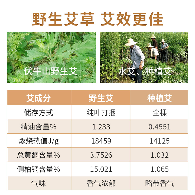 纯艾草艾柱艾条家用灸盒熏香罐艾段五年陈小艾绒棒条陈年短艾灸柱-图0