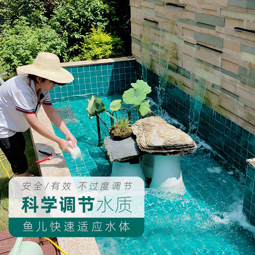 锦鲤鱼池清理清洗吸污上门维护服务上海苏州过滤器仓改造水池养护 - 图3