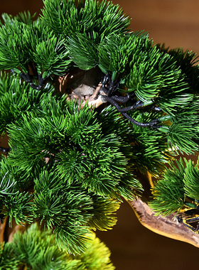 室内新中式风迎客松绿植家居装饰
