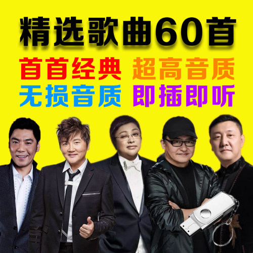 韩红刘欢孙楠韩磊屠洪刚歌曲U盘老歌曲专辑车载音乐MP3音频优盘 - 图0