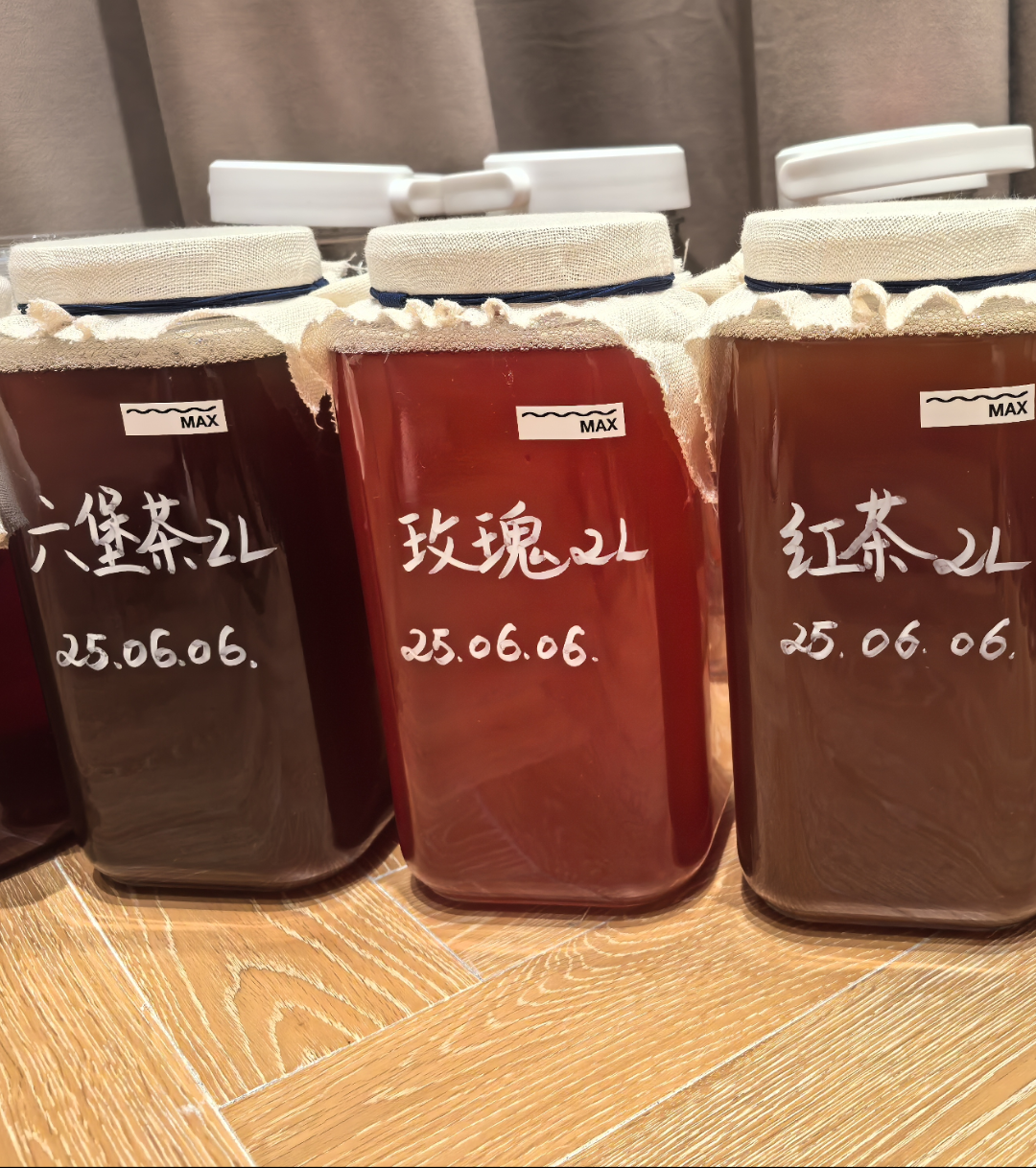 红茶菌胃宝原种液增加浓度活性更强加速发酵可直接用于康普茶二发,淘宝优惠券,粉丝福利购,淘宝优惠卷