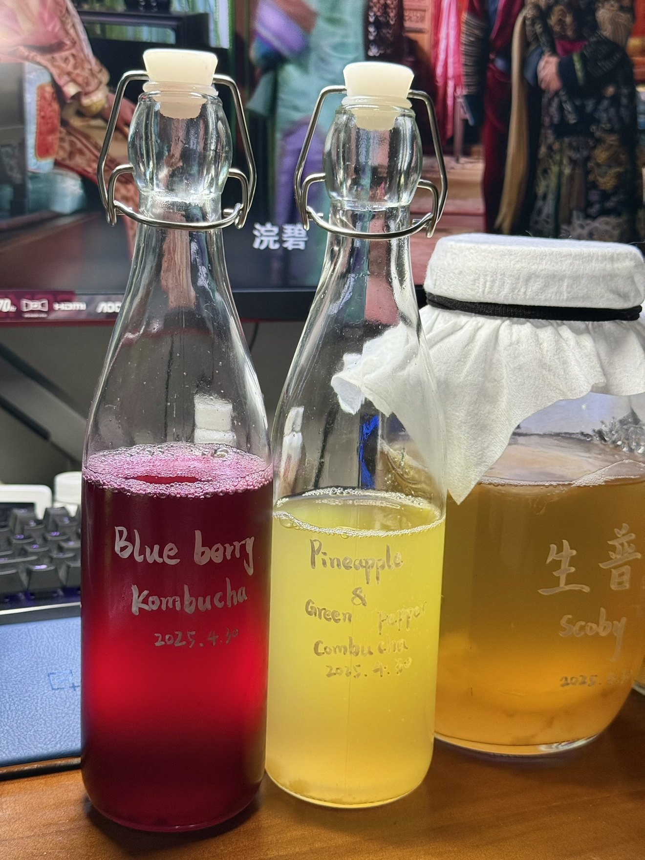 红茶菌胃宝原种液增加浓度活性更强加速发酵可直接用于康普茶二发,淘宝优惠券,粉丝福利购,淘宝优惠卷