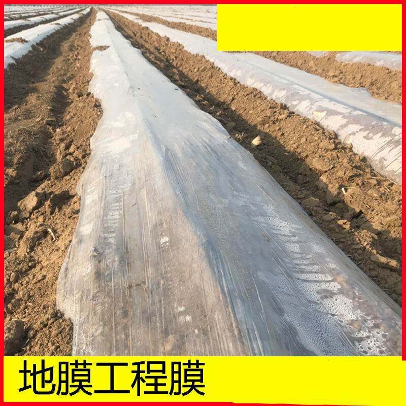 溥膜农用棚膜地膜加厚种植农用地薄膜土壤种菜膜塑料膜薄膜纸菜园,淘宝优惠券,粉丝福利购,淘宝优惠卷