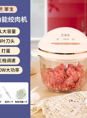 华生绞肉机家用搅肉机电动和面多