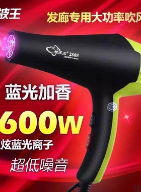 小霸王吹风机超波王电吹风2805大