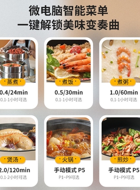 志高304加高电蒸锅多功能蒸煮火