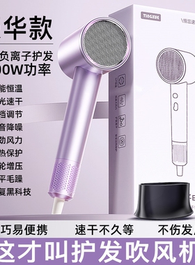 德国吹风机负离子护发静音速干80