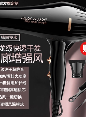 德国发廊专用电吹风机理发店大功