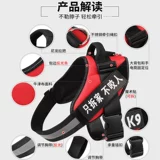 Бюст из туфли веревки собаки, большая собака большая собака, большая собака, прогулка, золотые рераадс, лабрадор собака верево