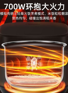 奥克斯钛釜内胆电饭煲不粘2到3人