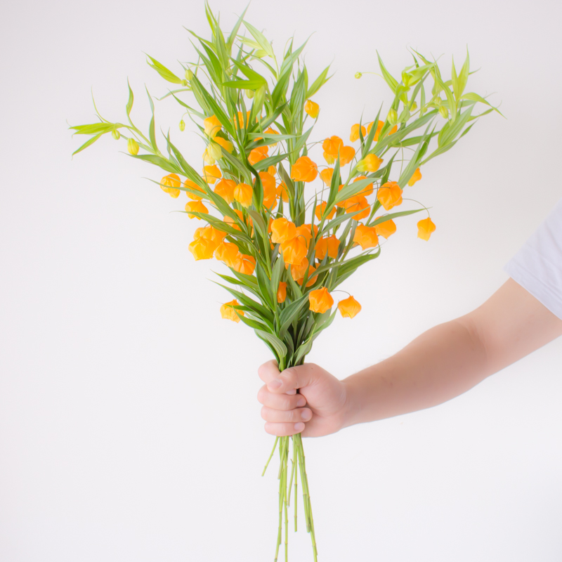 花然严品宫灯百合鲜花云南直发鲜切花家用水养插花百合花同城速递