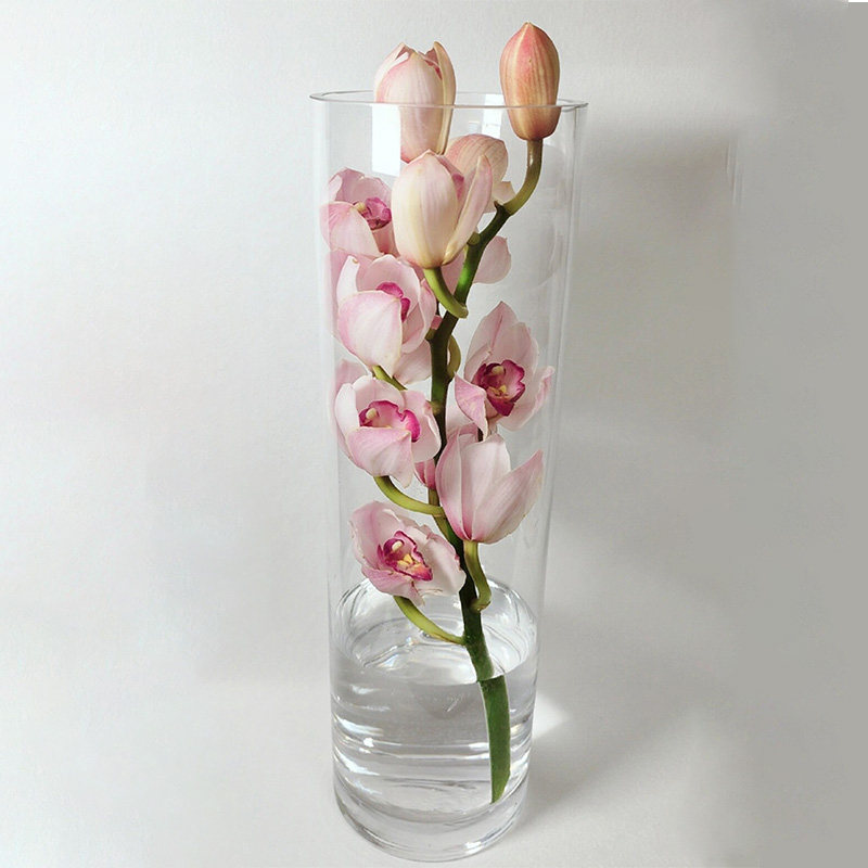 粉色大花蕙兰鲜花云南直发兰花大花惠兰鲜切花插花水培手捧花真花,淘宝优惠券,粉丝福利购,淘宝优惠卷