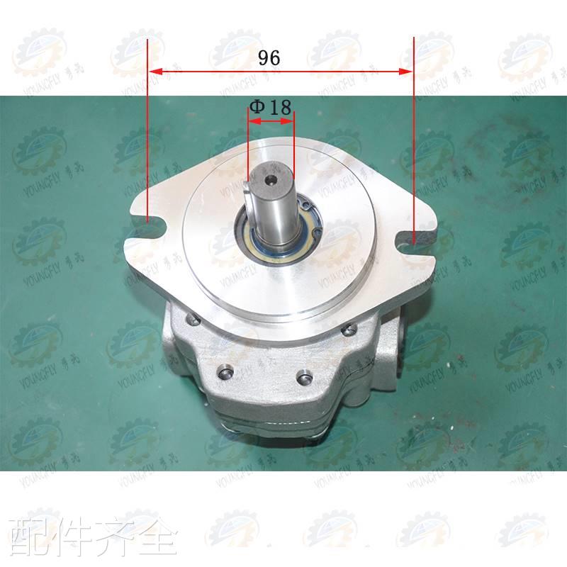 机床配件芜湖恒升TX6113 TX6213镗铣床液压齿轮泵G551E13F20L - 图0