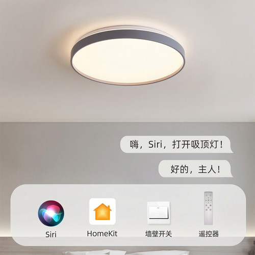 matter苹果智能家居HomeKit吸顶灯包上门安装支持接入绿米aqara - 图0