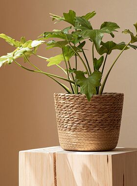 北欧风天然海草编织花盆藤编植物绿植套盆家居装饰花器花篮收纳筐