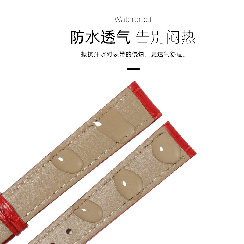 卡西欧手表带女真皮女款sheen系列 爱梦爱配件