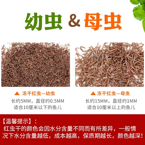 Тропическая рыба -рыба пища замороженные красные червя сухой павли