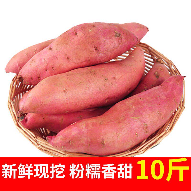 新鲜红薯黄心带箱10斤装包邮地瓜 悦界食品番薯