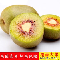 Sichuan Brow Hills Fresh Red Hearts Kiwi Peach Chic Exotic Fruits When Season Orchard Straight Hair Big Fruits 5 Catty Whole Boxes