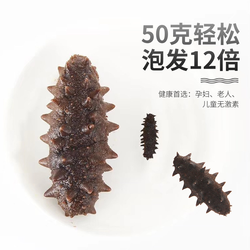 大连野生50g泡600g鲜活淡干海参 盐阜干品/即食海参