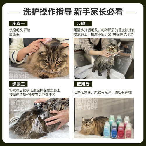 U先-伊珊娜梵希娅人参精华洗护组合50ml-不改地址不参与赠品活动 - 图2