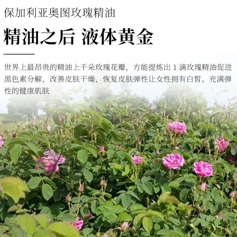 LOVL保加利亚奥图玫瑰奢养精华油淡化细纹皱纹减少衰老护肤润肤油,淘宝优惠券,粉丝福利购,淘宝优惠卷