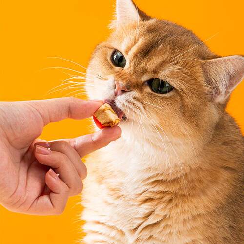 Cat snacks, freeze-dried chicken nuggets, pet food - 图0