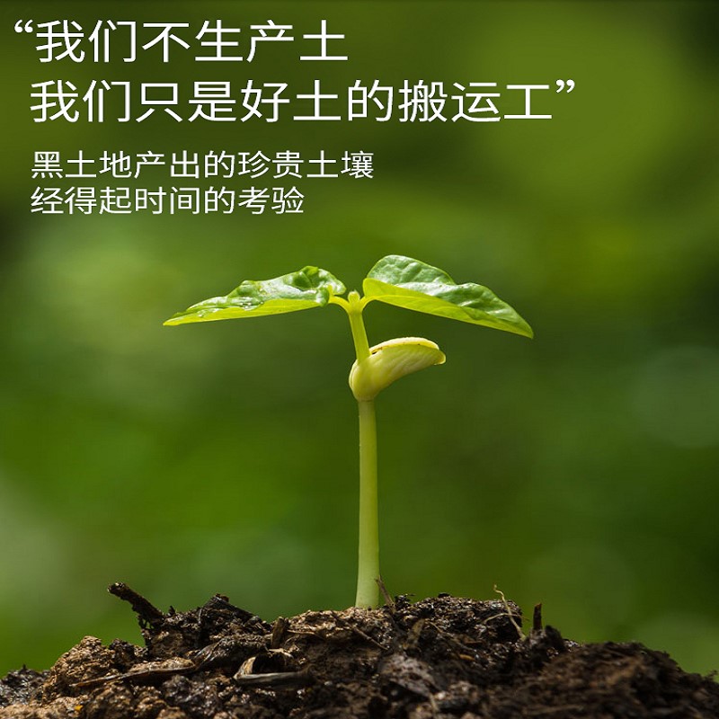 阳台种菜土蔬菜种植土种菜专用土花土大包装30斤包邮黑土营养土壤-图2