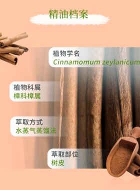 美国多特瑞5ml肉桂植物单方精油