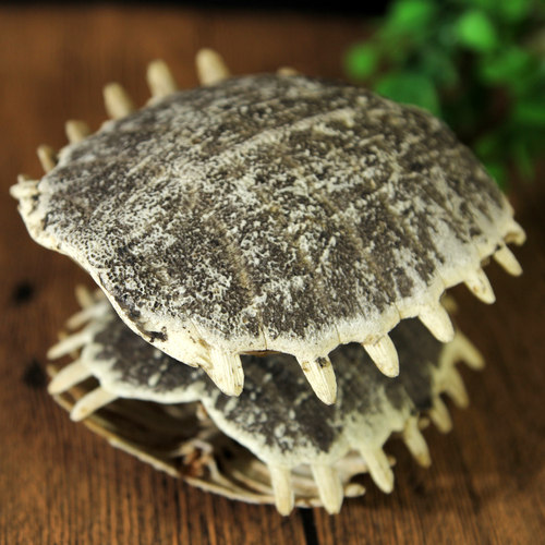 中药材 生鳖甲 醋鳖甲壳 甲鱼壳 鳖盖子 500克 包邮 可免费打粉 - 图0