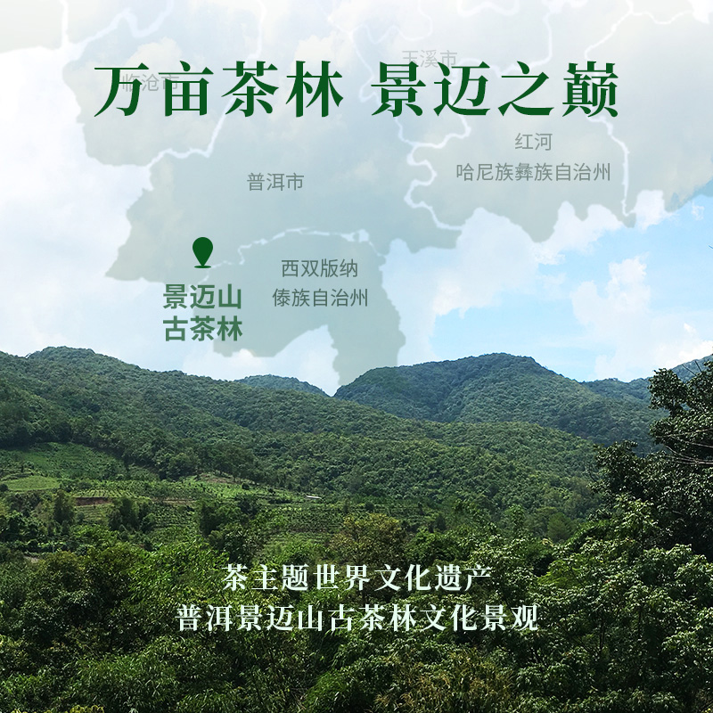 中茶茶叶 茗山景迈山大树普洱茶生茶紧压茶饼357g - 图0