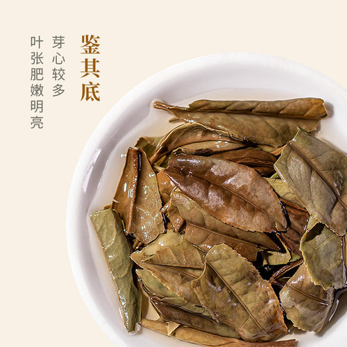 中茶白茶 福建蝴蝶老树白茶白牡丹紧压茶330g 诗词大会联名 中粮 - 图2
