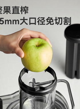 商用渣汁分离全自动大口径免切榨