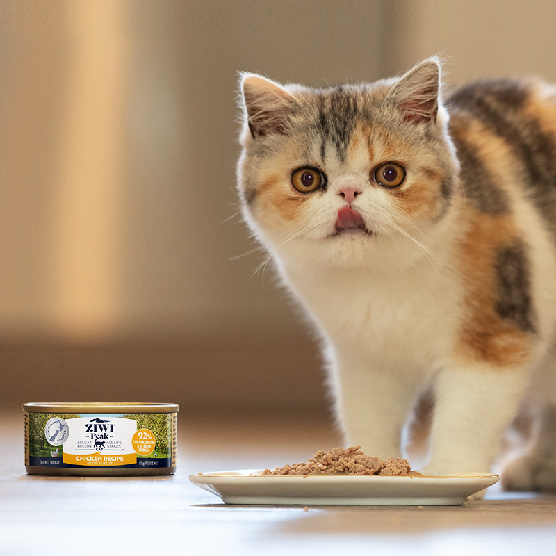【天猫U先】ziwi巅峰无谷低敏猫咪主食罐猫罐头85g,每个id限1份 【天猫U先】ziwi巅峰无谷低敏猫咪主食罐猫罐头85g,每个id限1份