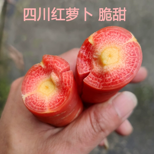 Sichuan Carrot Fresh Бесплатная доставка песчаная фруктовая морковь фермер овощное красное сердце хрустящее сладкое песчаное гнездо сладкая редька