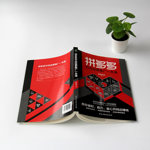 拼多多开店运营推广一本通 营业额倍增的运营秘笈 自学电商开网店运营书籍店铺搜索装修推广互联网电商运营教程电子商务 - 图1