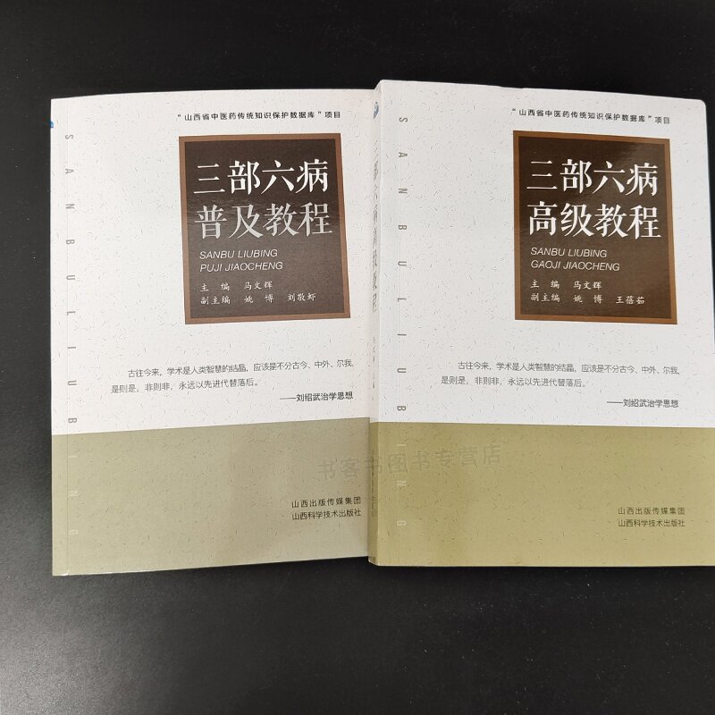 全4册 三部六病普及初级中级高级教程 刘绍武医学文集三部六病传讲录讲座伤寒论条文全解析辨证精义中医临床中医经典教程书籍 - 图2